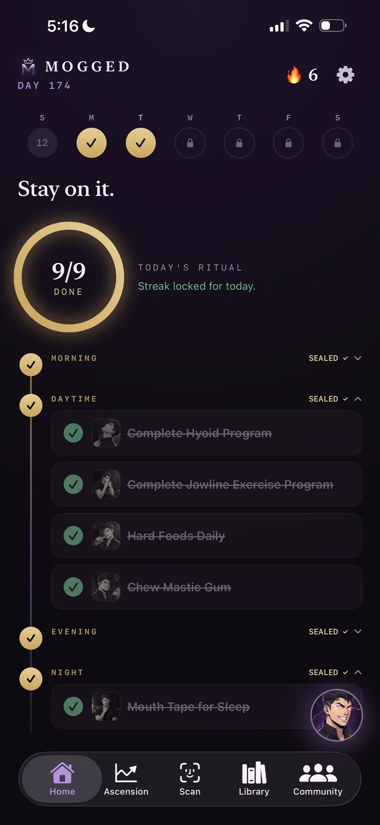 Mogged home screen showing the daily ritual streak and task timeline